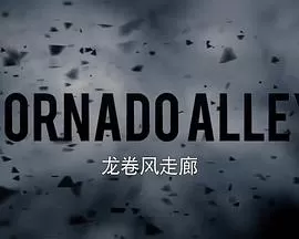 龙卷风走廊第二季海报