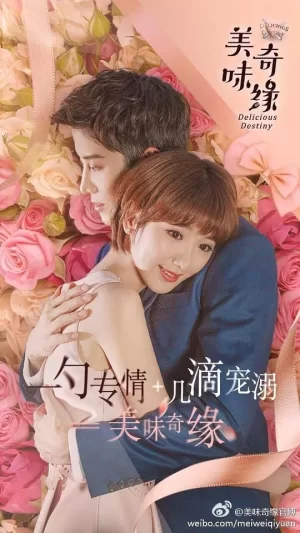 美味奇缘网络版海报