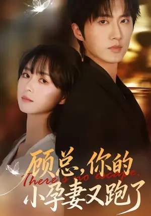顾总,你的小孕妻又跑了海报