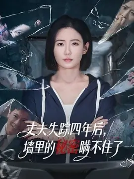 丈夫失踪四年后,墙里的秘密瞒不住了海报