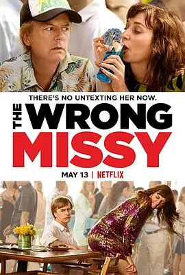 乌龙小姐TheWrongMissy海报