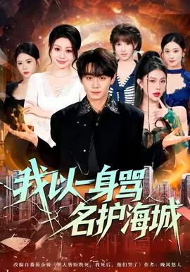 我以一身骂名护海城海报