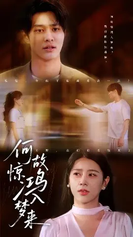 何故惊鸿入梦来海报