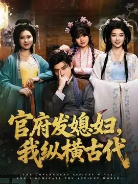 官府发媳妇,我纵横古代海报