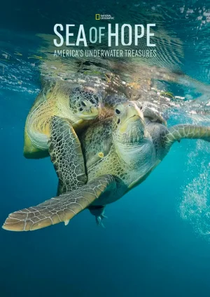 希望之海:美国海底之宝海报