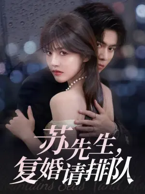 苏先生,复婚请排队海报