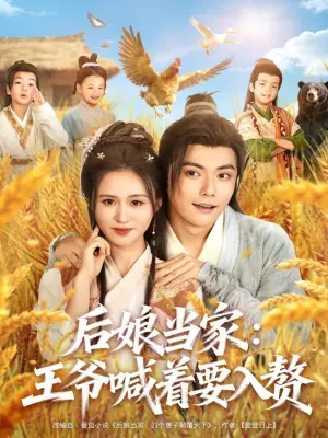 后娘当家:王爷喊着要入赘海报