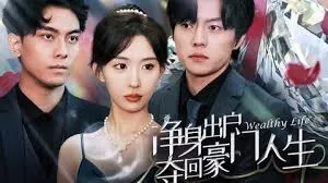 净身出户后,夺回豪门人生海报