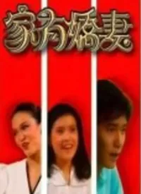 家有娇妻(粤语)海报