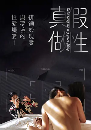 假性真做海报