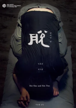 不是一,也不是二海报