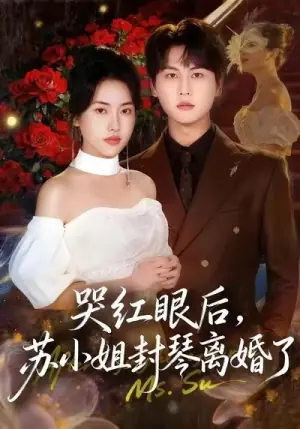 哭红眼后,苏小姐封琴离婚了海报