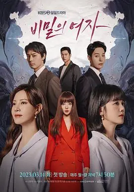秘密的女人비밀의여자海报