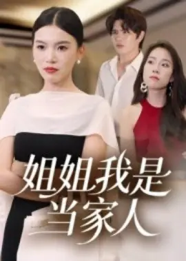 姐姐我是当家人海报