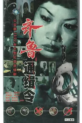 齐鲁通缉令海报