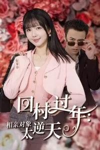 回村过年相亲对象太逆天海报