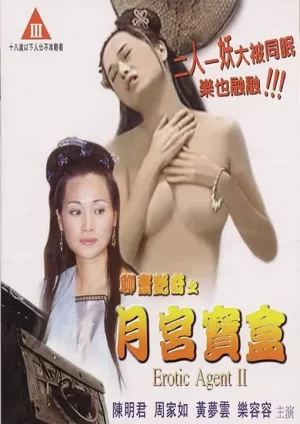 聊斋艳奇之月宫宝盒海报