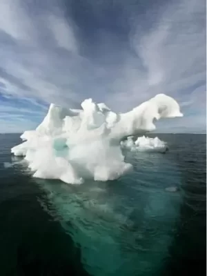 追踪北极海海报