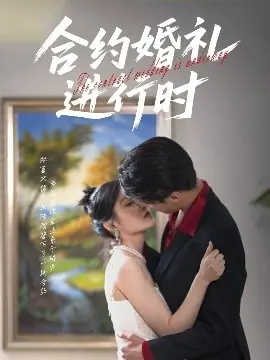 合约婚礼进行时海报