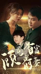 顾总的首富前妻海报