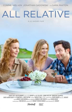 再见无敌丈母娘海报