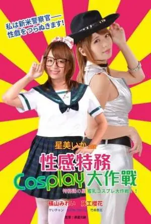性感特务海报