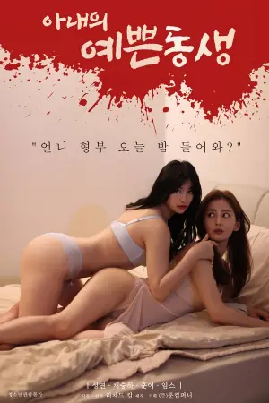妻子的漂亮妹妹海报