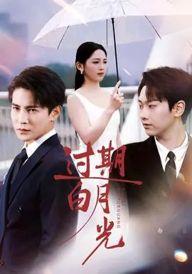 过期白月光海报