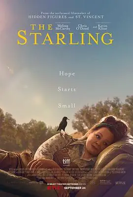八哥TheStarling海报