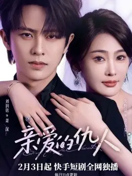 亲爱的仇人海报