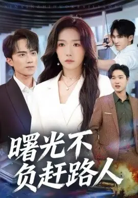 曙光不负赶路人海报