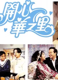 开心华之里海报