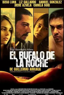 夜间的水牛海报