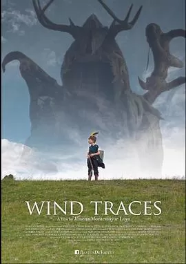 风的痕迹海报