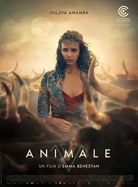 兽性Animale海报
