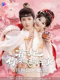 弃妃,你又被翻牌了海报