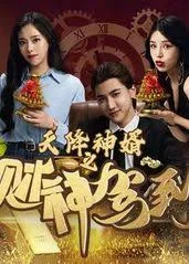 天降神婿之财神驾到海报