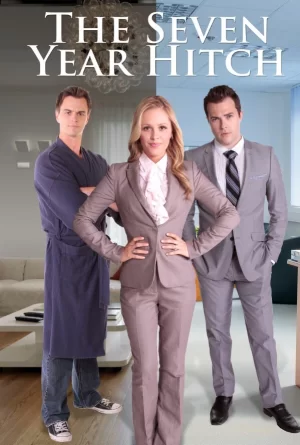 结婚已七年海报