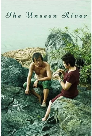 看不见的河流海报