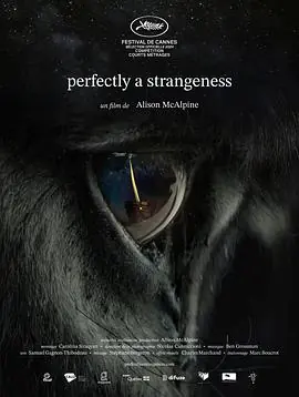 完全陌生PerfectlyaStrangeness海报