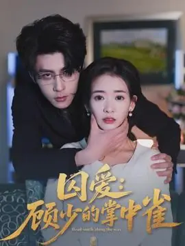 囚爱:顾少的掌中雀海报