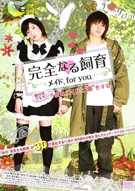 完全饲育:专属女仆海报