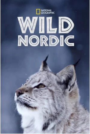 野性北欧第一季海报