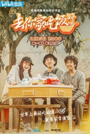 去你家吃饭好吗第一季海报
