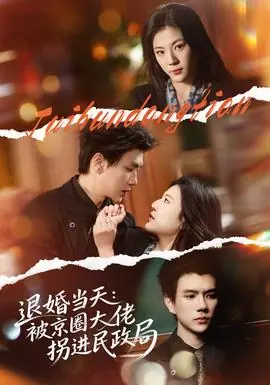 退婚当天:被京圈大佬拐进民政局海报