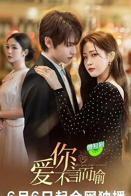 爱你不等来生海报