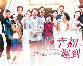 幸福迟到了海报