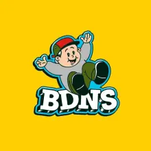 BDNS海报