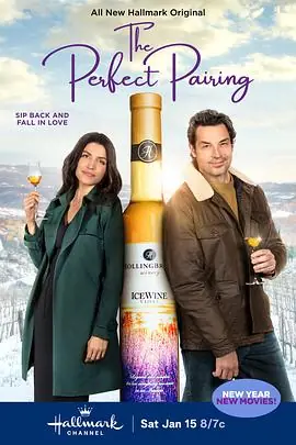 完美搭配ThePerfectPairing海报
