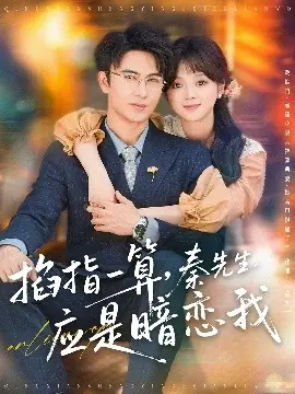 掐指一算,秦先生应是暗恋我海报